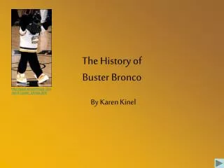 The History of Buster Bronco