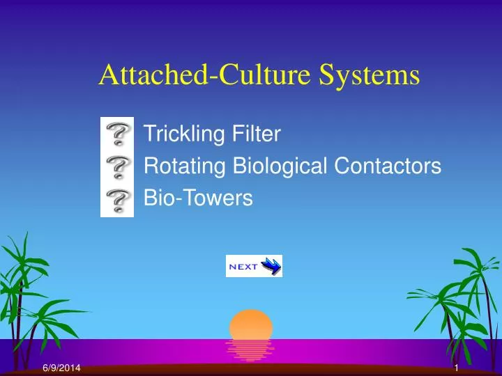 attached culture systems