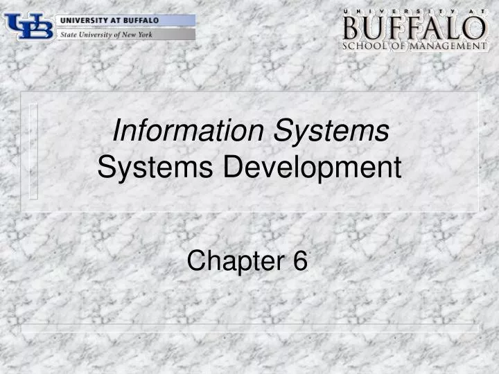 information systems systems development