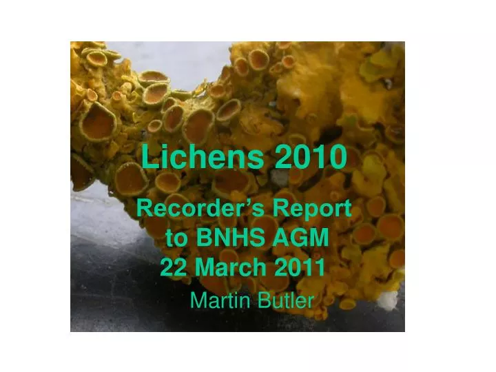 lichens 2010 recorder s report to bnhs agm 22 march 2011