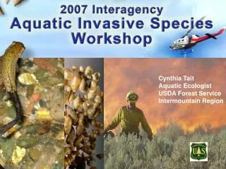 Cynthia Tait Aquatic Ecologist USDA Forest Service Intermountain Region