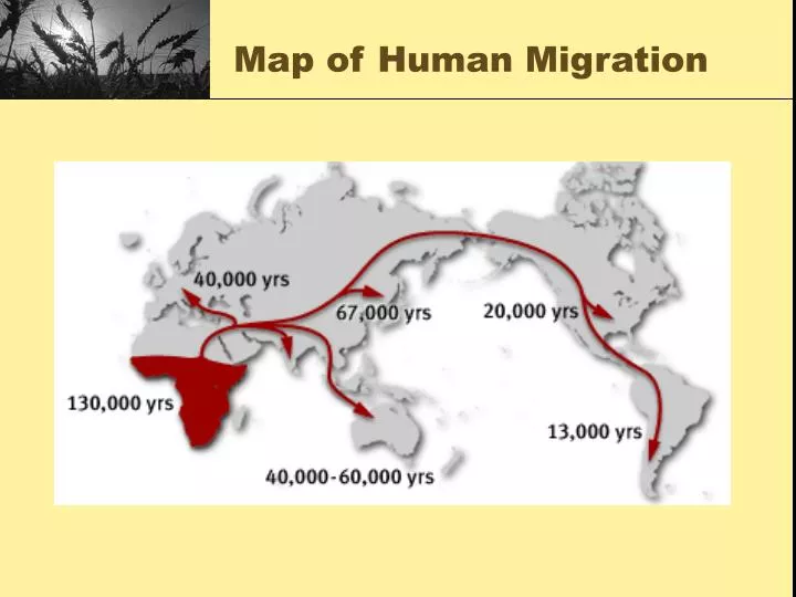 map of human migration