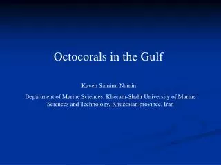 Octocorals in the Gulf