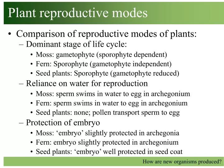 plant reproductive modes