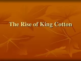The Rise of King Cotton