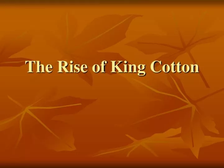 the rise of king cotton