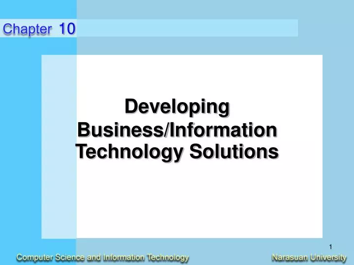 developing business information technology solutions