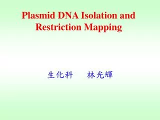 Plasmid DNA Isolation and Restriction Mapping