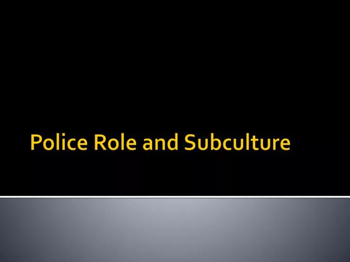police role and subculture