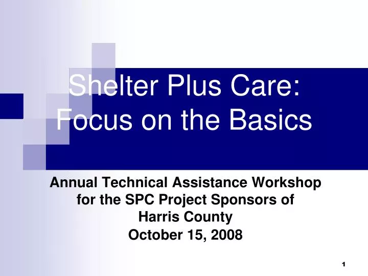 shelter plus care focus on the basics