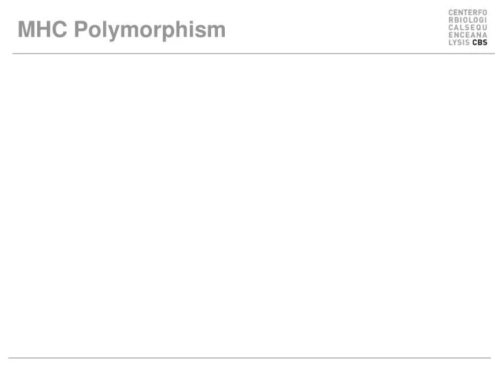 mhc polymorphism
