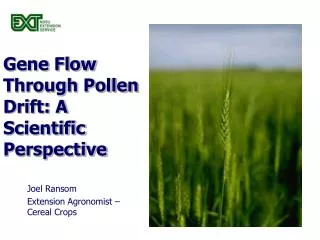 Gene Flow Through Pollen Drift: A Scientific Perspective