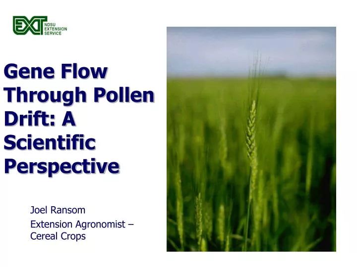 gene flow through pollen drift a scientific perspective