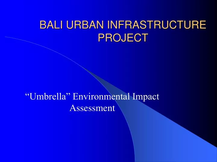 bali urban infrastructure project