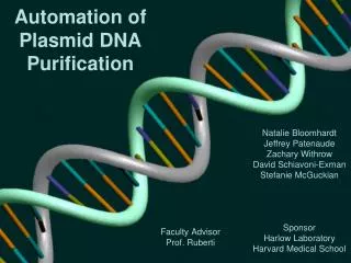 Automation of Plasmid DNA Purification
