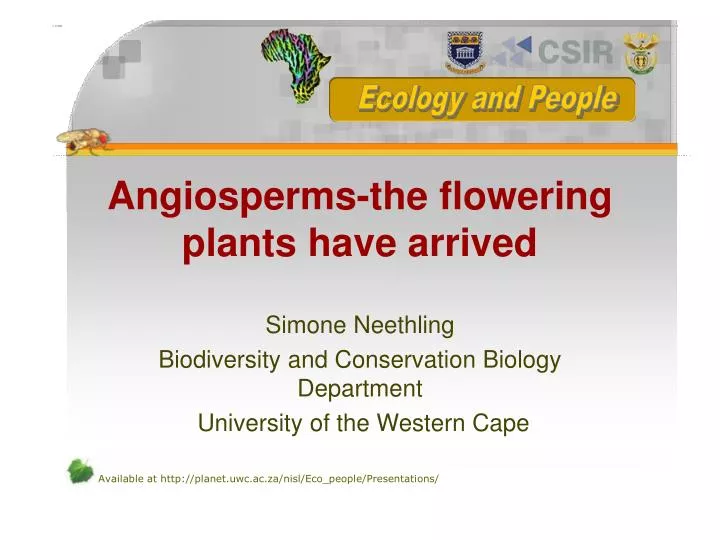 angiosperms the flowering plants have arrived