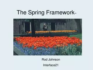 The Spring Framework TM