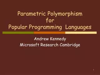 Parametric Polymorphism for Popular Programming Languages