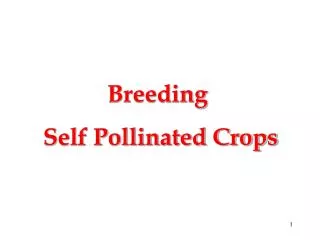 Breeding Self Pollinated Crops