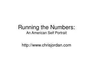 Running the Numbers: An American Self Portrait