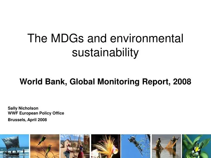 the mdgs and environmental sustainability world bank global monitoring report 2008