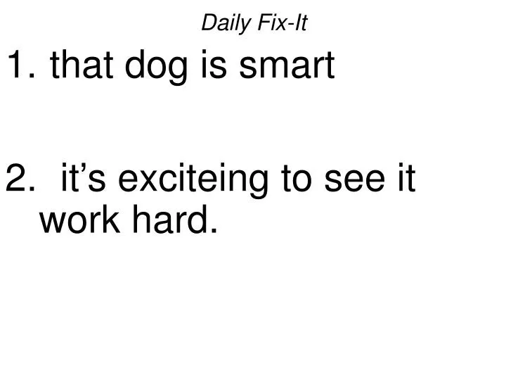 daily fix it that dog is smart it s exciteing to see it work hard