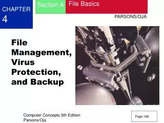 File Management, Virus Protection, and Backup