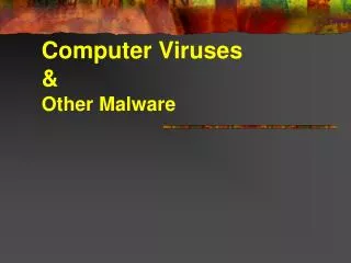 Computer Viruses &amp; Other Malware