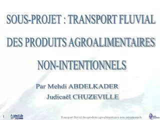 SOUS-PROJET : TRANSPORT FLUVIAL DES PRODUITS AGROALIMENTAIRES NON-INTENTIONNELS