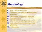 Morphology - slide 1