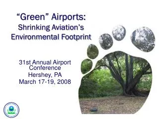 “Green” Airports: Shrinking Aviation’s Environmental Footprint