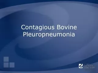 Contagious Bovine Pleuropneumonia