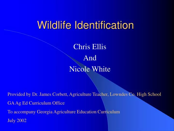 wildlife identification