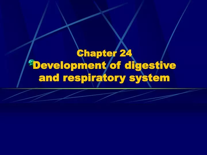 chapter 24 development of digestive and respiratory system