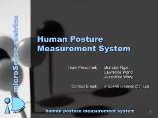 Human Posture Measurement System