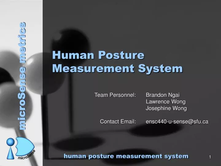 human posture measurement system