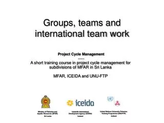 Groups, teams and international team work