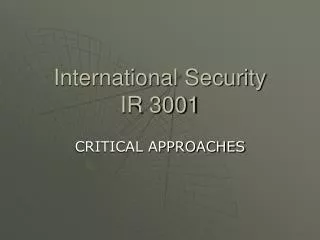 International Security IR 3001