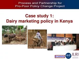 Case study 1: Dairy marketing policy in Kenya