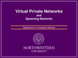 Virtual Private Networks and Spawning Networks