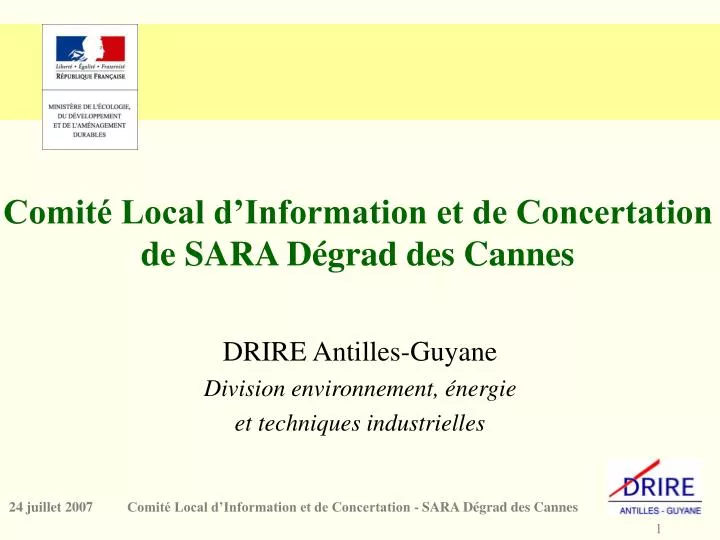 comit local d information et de concertation de sara d grad des cannes