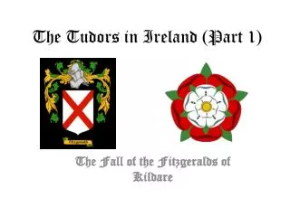 The Tudors in Ireland (Part 1)