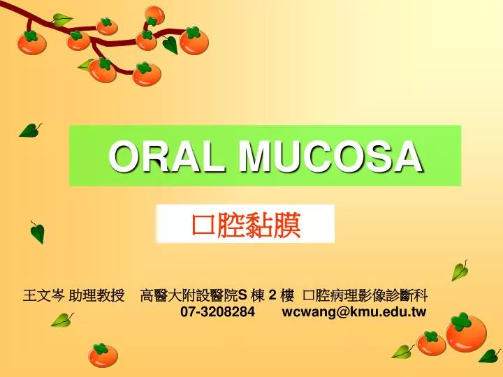 oral mucosa