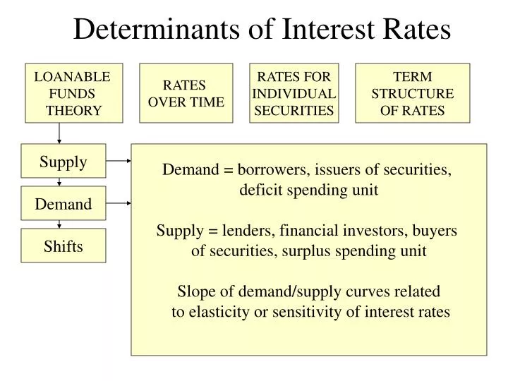 determinants of interest rates