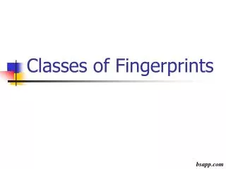 Classes of Fingerprints
