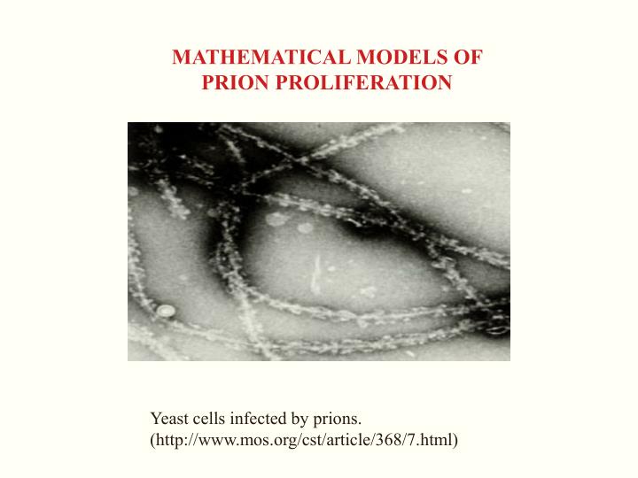 mathematical models of prion proliferation