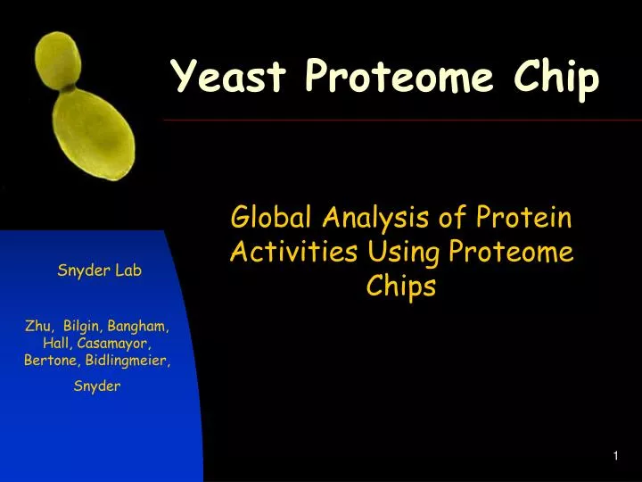 yeast proteome chip