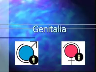Genitalia
