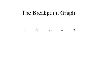 The Breakpoint Graph