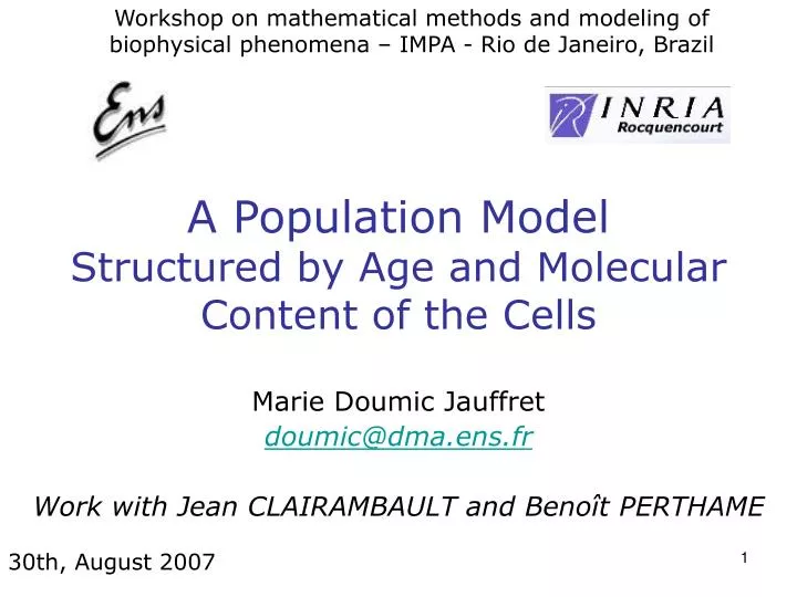 a population model structured by age and molecular content of the cells